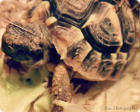 /album/galerie-photos/photographie1-jpg/