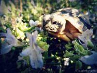 /album/galerie-photos/photographie4-jpg/