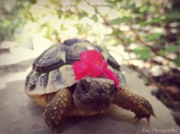 /album/galerie-photos/photographie9-jpg/