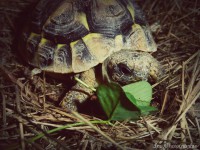 /album/galerie-photos/photographie10-jpg/