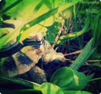 /album/galerie-photos/photographie15-jpg/